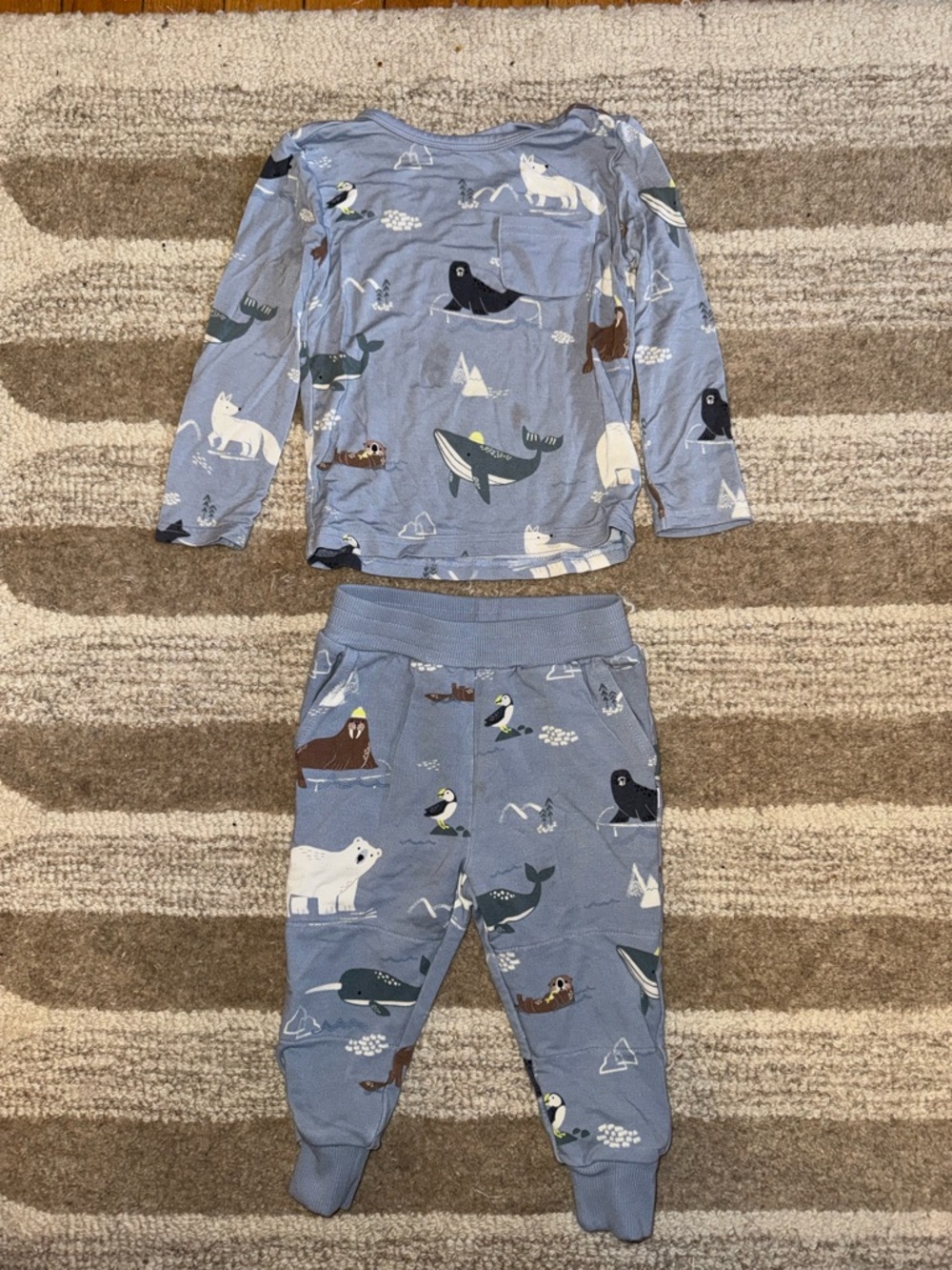 Kids Blue Arctic Animal Pajama Set